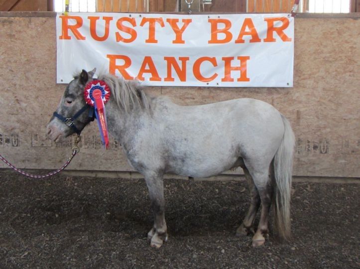 Visit Rusty Bar Ranch