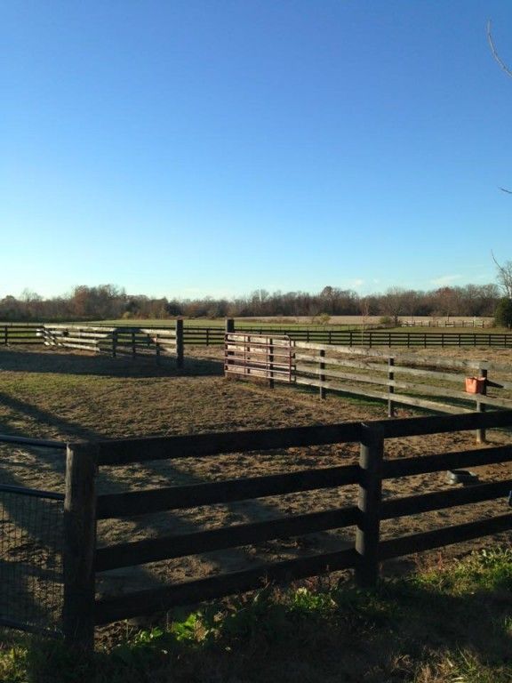 Evoq Stables - Horse Boarding Farm in Louisville, Kentucky
