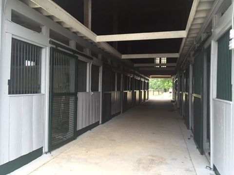 Ashwood Trinity Training Center - Horse Boarding Farm in 