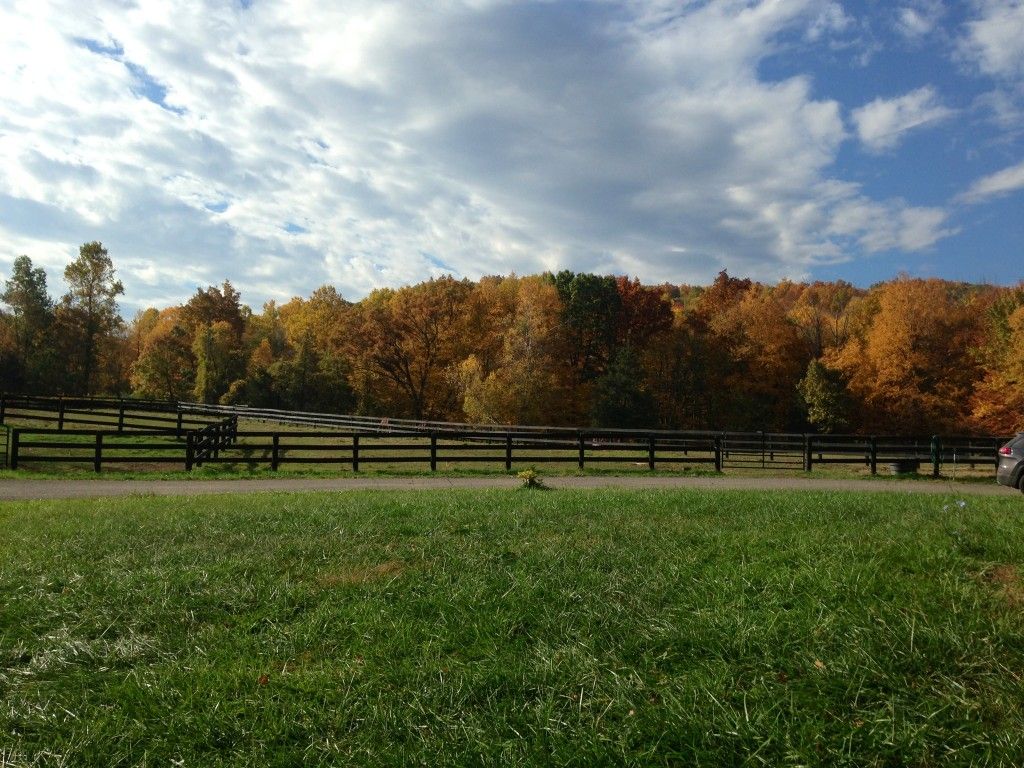 Harmony View Farm Beautiful Facility with a peaceful, casual environment Horse Boarding Farm