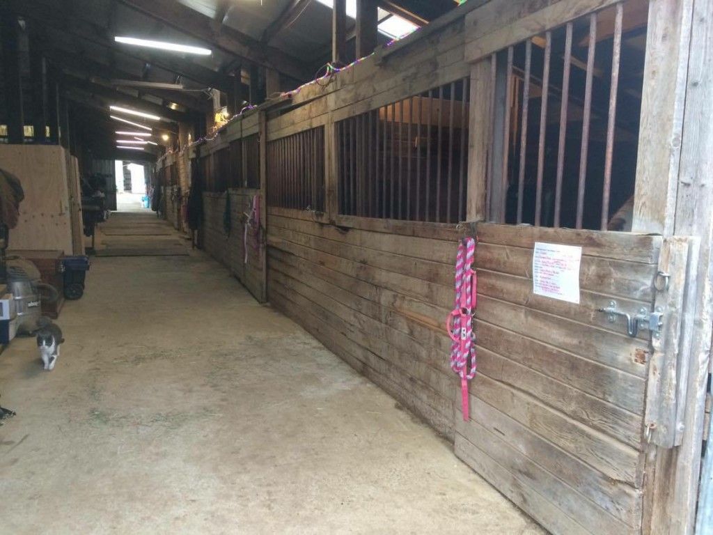 Paint'd Horse Stables - Horse Boarding Farm in Monroe, Washington