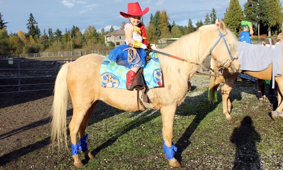 Pony Tail Ranch Renton, Wa. - Horse Boarding Farm in Renton, Washington