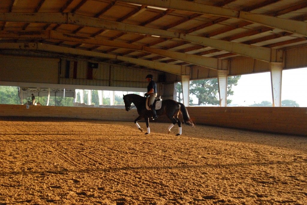 LTR Dressage - Horse Boarding Farm in Pilot Point, Texas