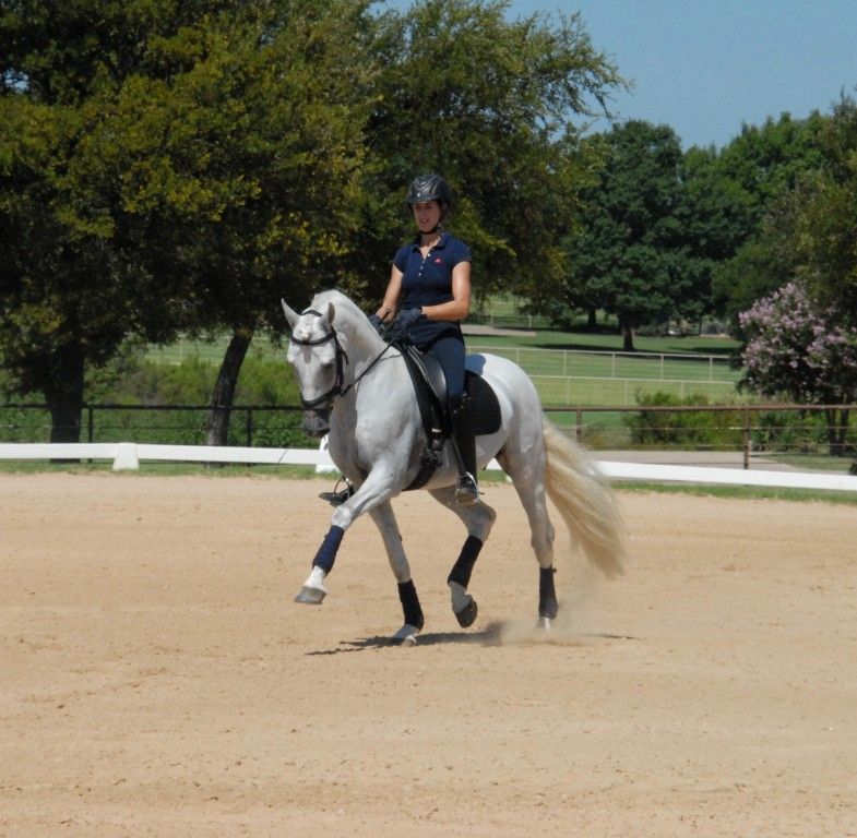 LTR Dressage - Horse Boarding Farm in Pilot Point, Texas