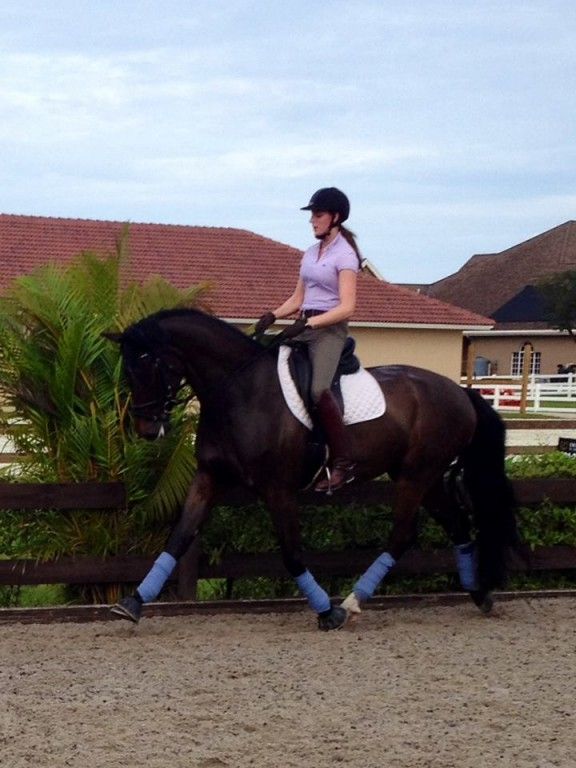 Jessica Rhinelander Dressage Trainer in Wellington, Florida