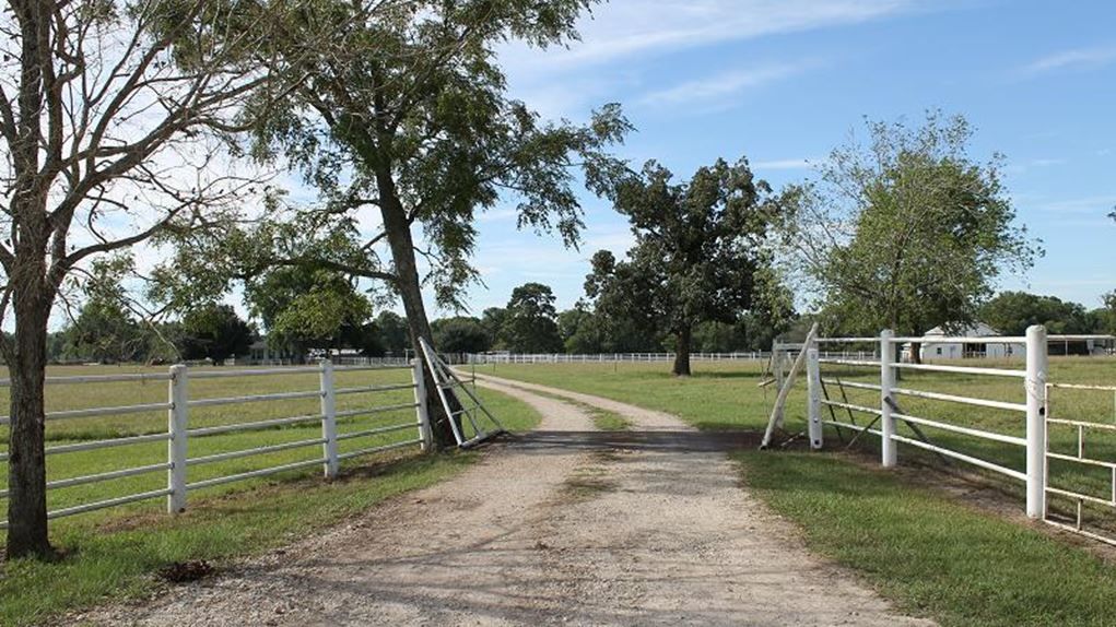 Visit Jones Road Ranch