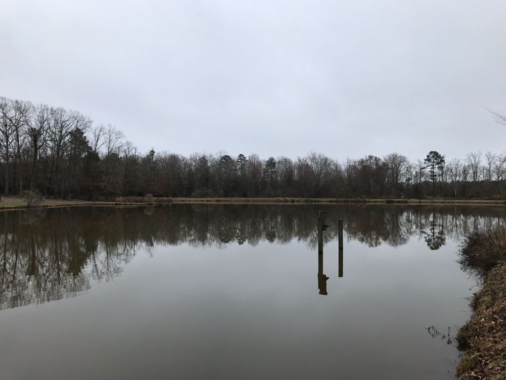 indigo equestrian center - horse boarding farm in chapin