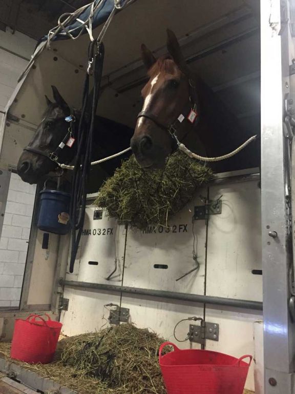 precious cargo transportation nc precious cargo transportation nc