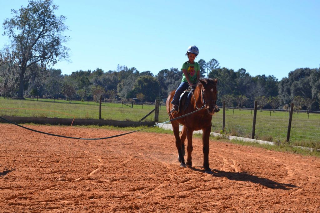 Visit Thumbs Up Riding School
