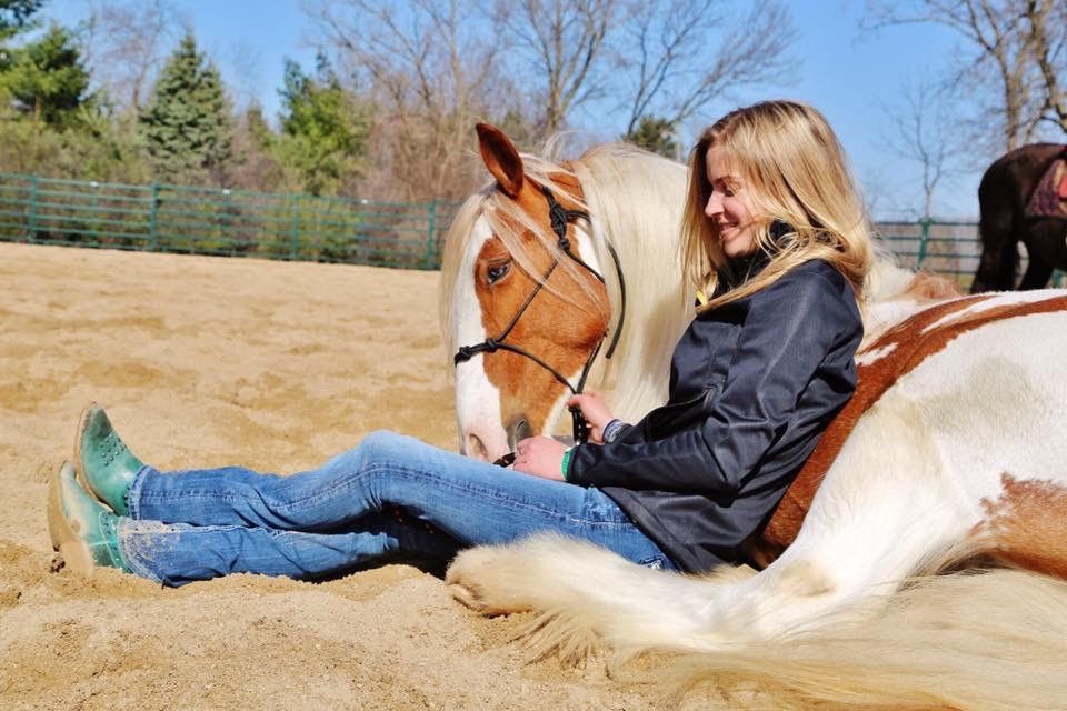 Horse Boarding In Madison Wisconsin Dane County [ 640 x 960 Pixel ]