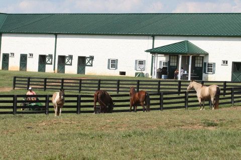 Visit Sunny Patch Equine & Canine Center