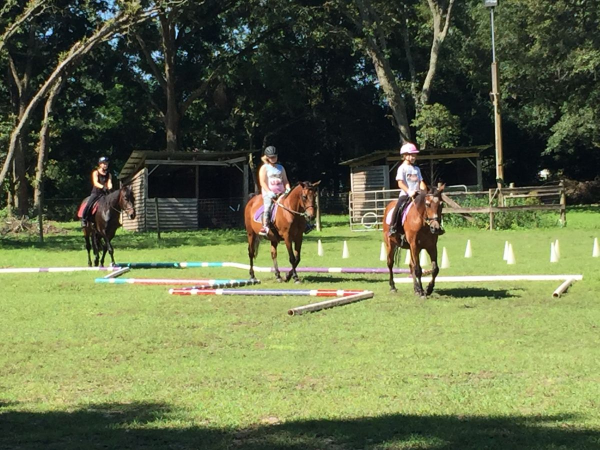 Visit Carriage Gate Morgans Summer & Winter Horse Camps