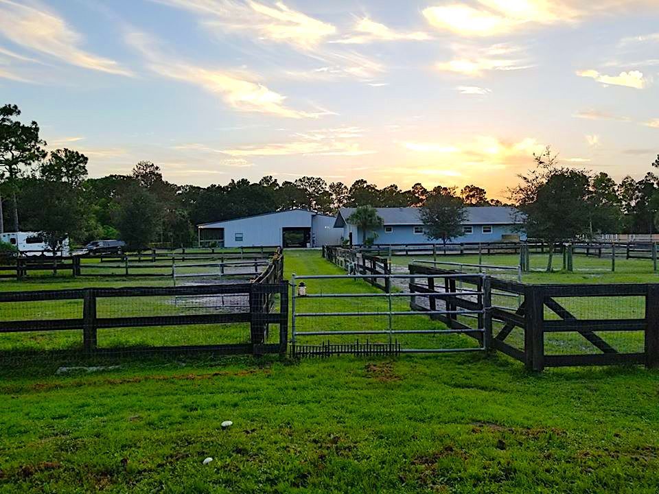 Riverbend Equestrian Center Horse Boarding Farm in Jupiter, Florida