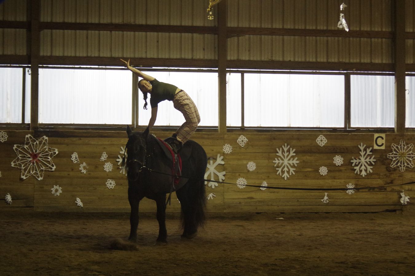 Equestrian Vaulting Lessons Gymnastics on Horseback Riding
