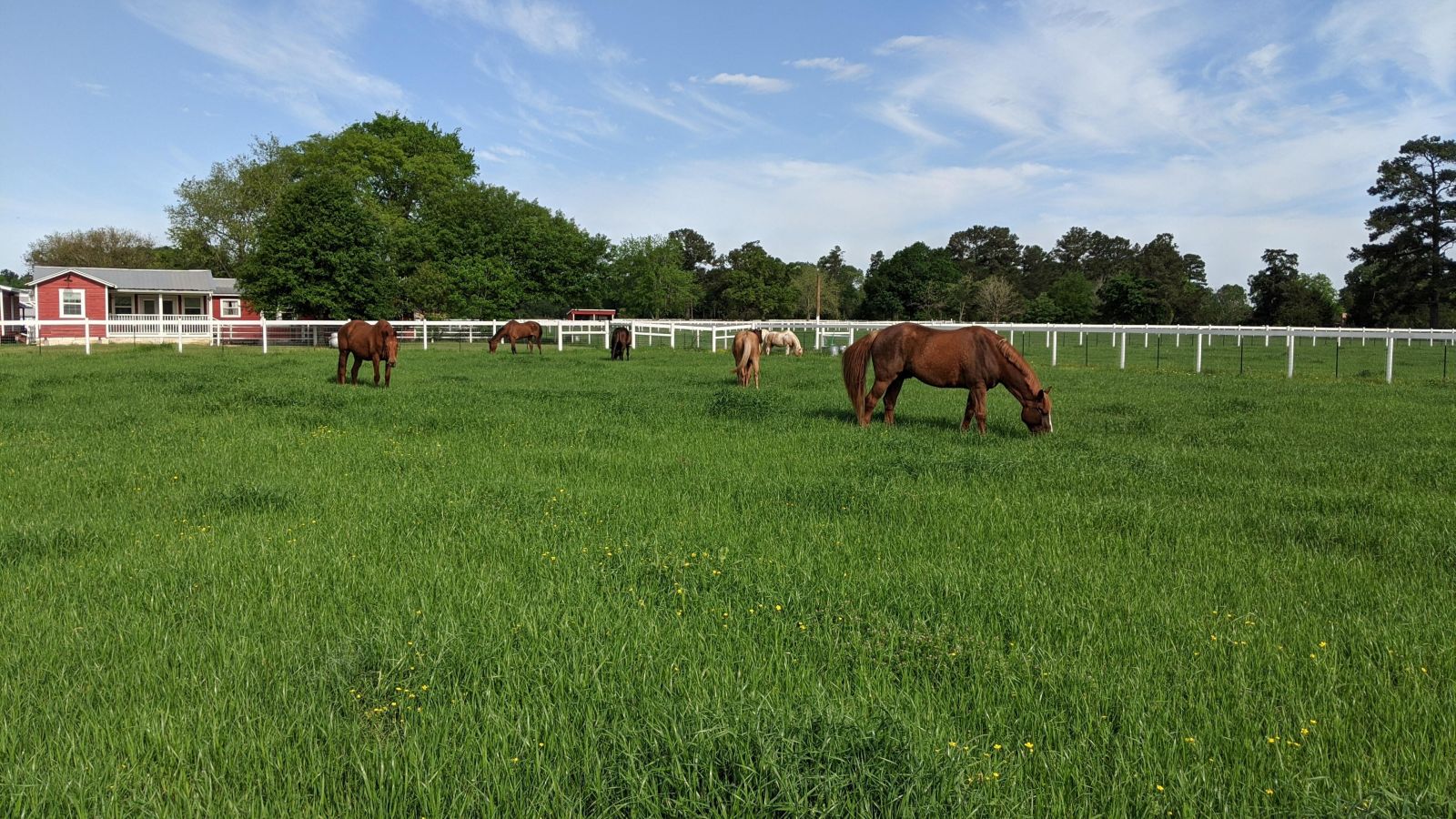 Visit Jones Road Ranch