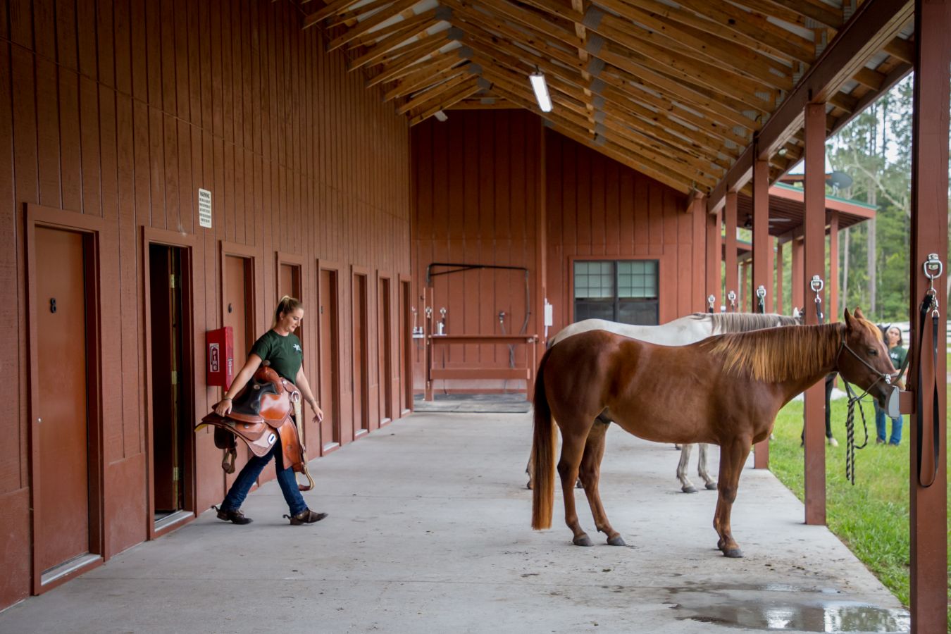 Star 4 Equestrian - Horse Boarding Farm in Saint Augustine, Florida