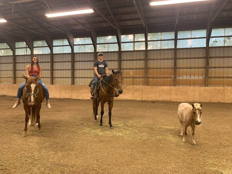 Visit Hope's Haven Equestrian Center