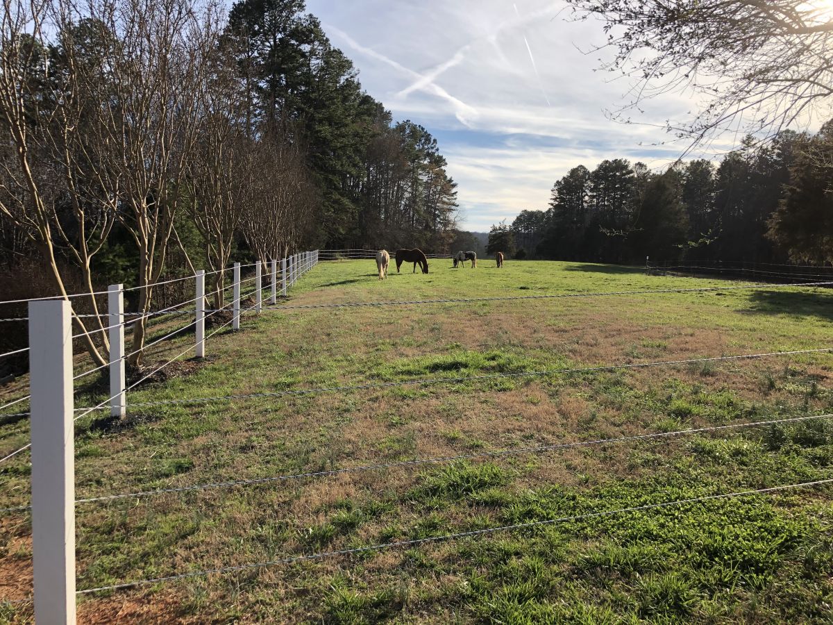 solid ground stables - horse boarding farm in stanley