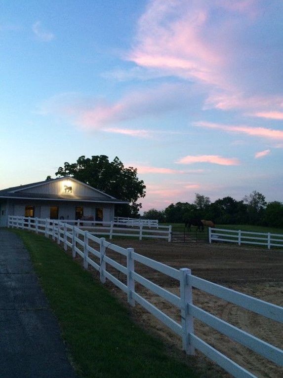 Wolthuis Farms Horse Boarding Farm in Lawton, Michigan
