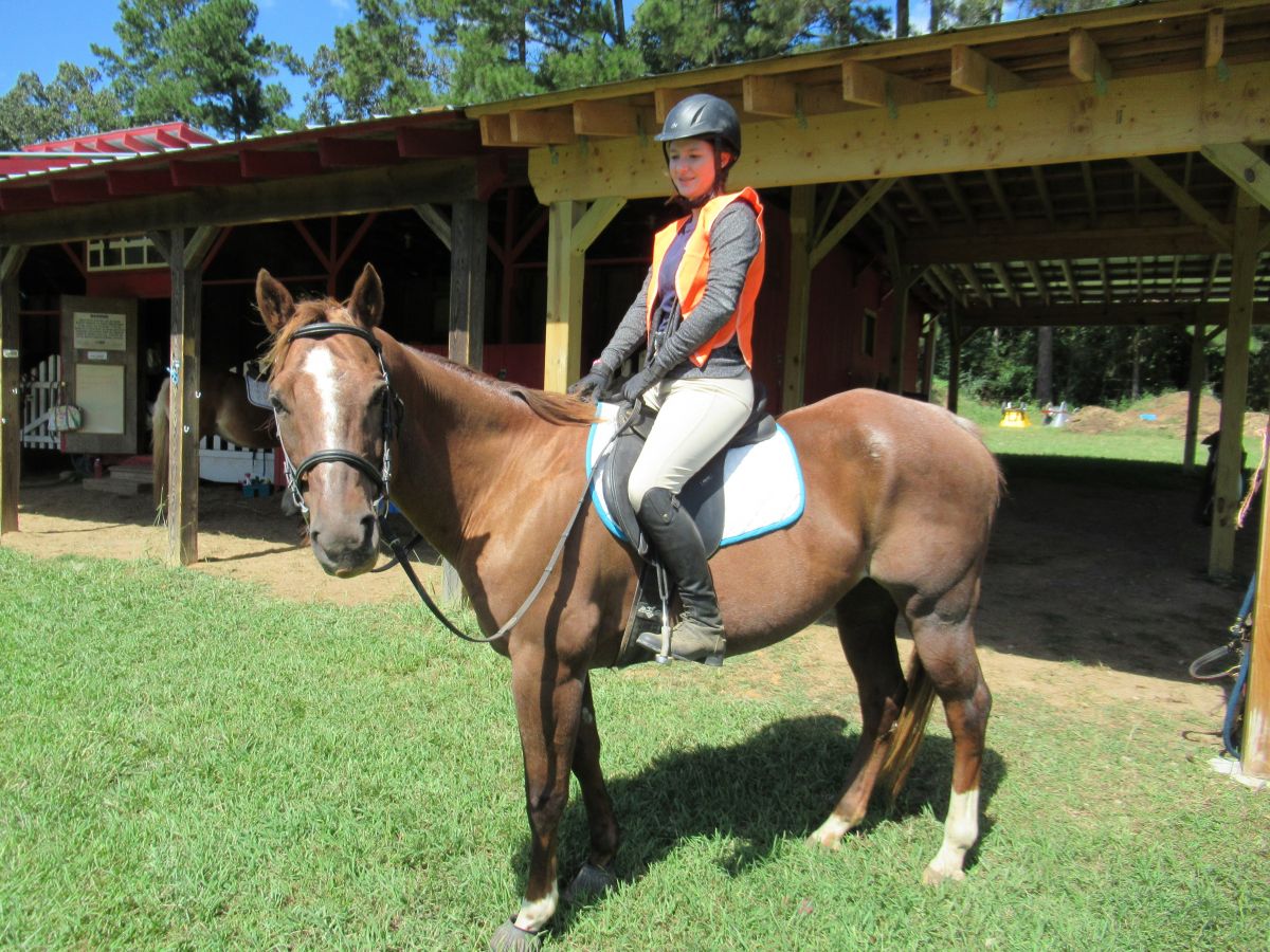 Visit Blue Skies of Mapleview LLC Summer horse camp, fall and spring lessons