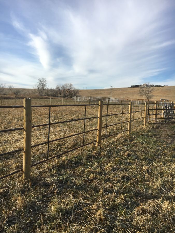 Big Sky Horse Boarding - Horse Boarding Farm in Great Falls, Montana