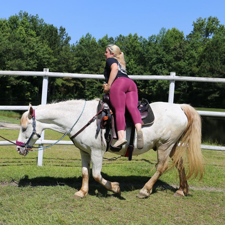 Horse Camps In Florida