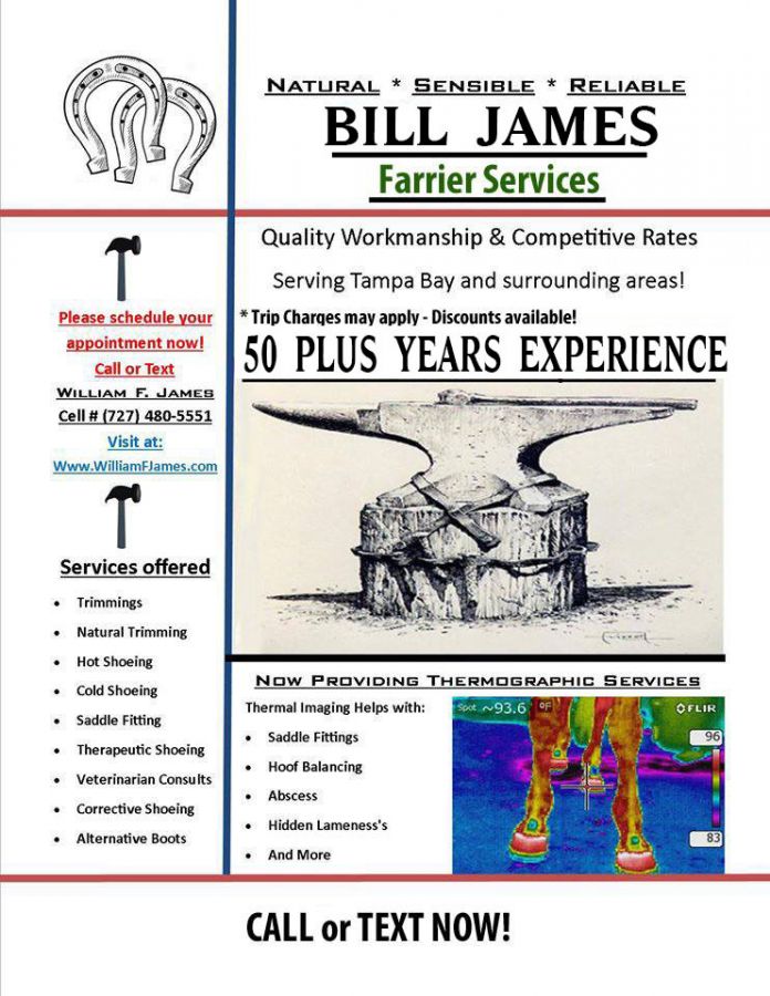 Visit Bill James