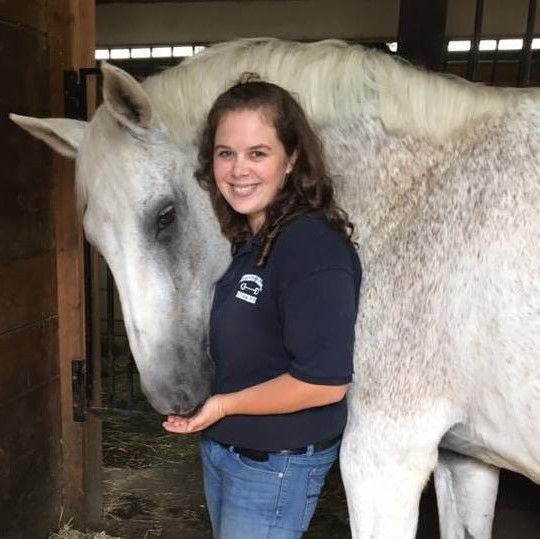 Visit Katie Smith Equine And Farm Specialist