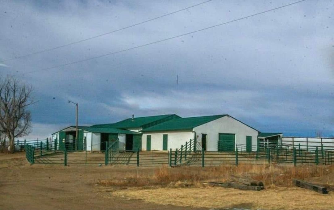 Visit Horse Boarding - Affordable Full Care