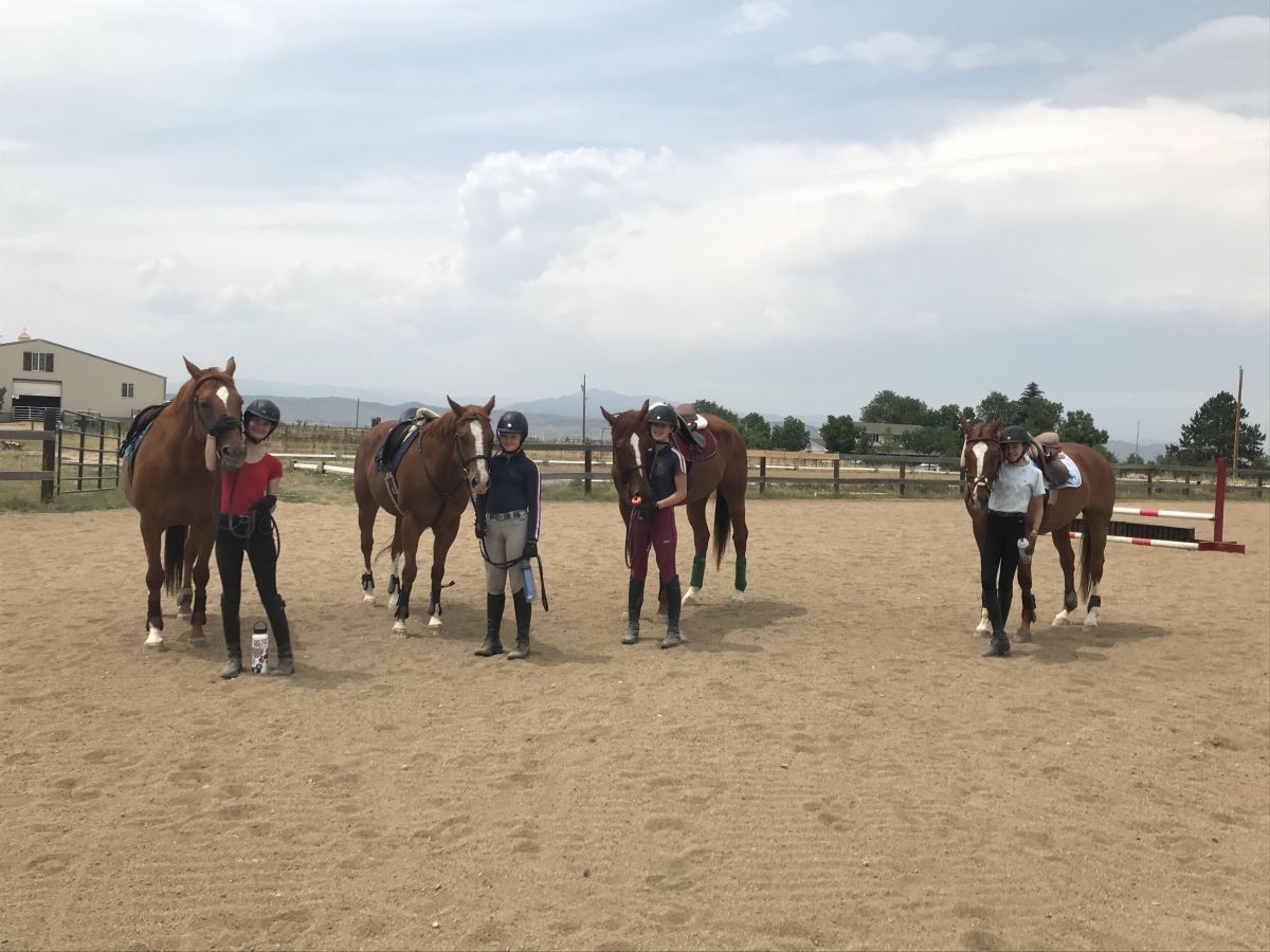 Visit Red Horse Equestrians and Ponies For Preschoolers
