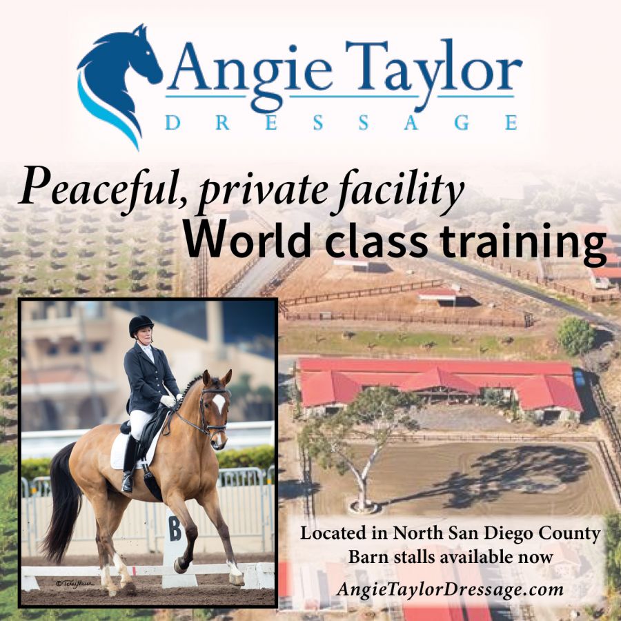 Visit Angie Taylor Dressage