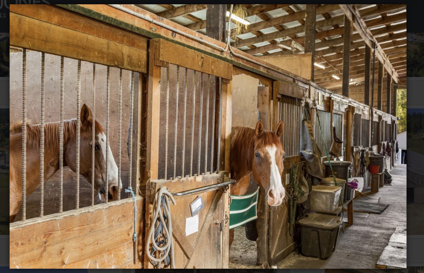 Visit Hothi Ranch Equestrian