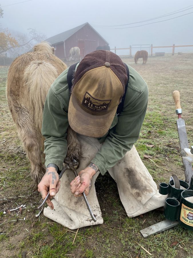 Visit Natural Hoof Care Practitioner