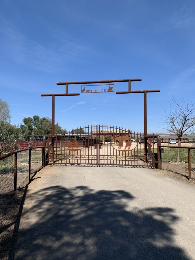 Visit Premier Horse Boarding Facility