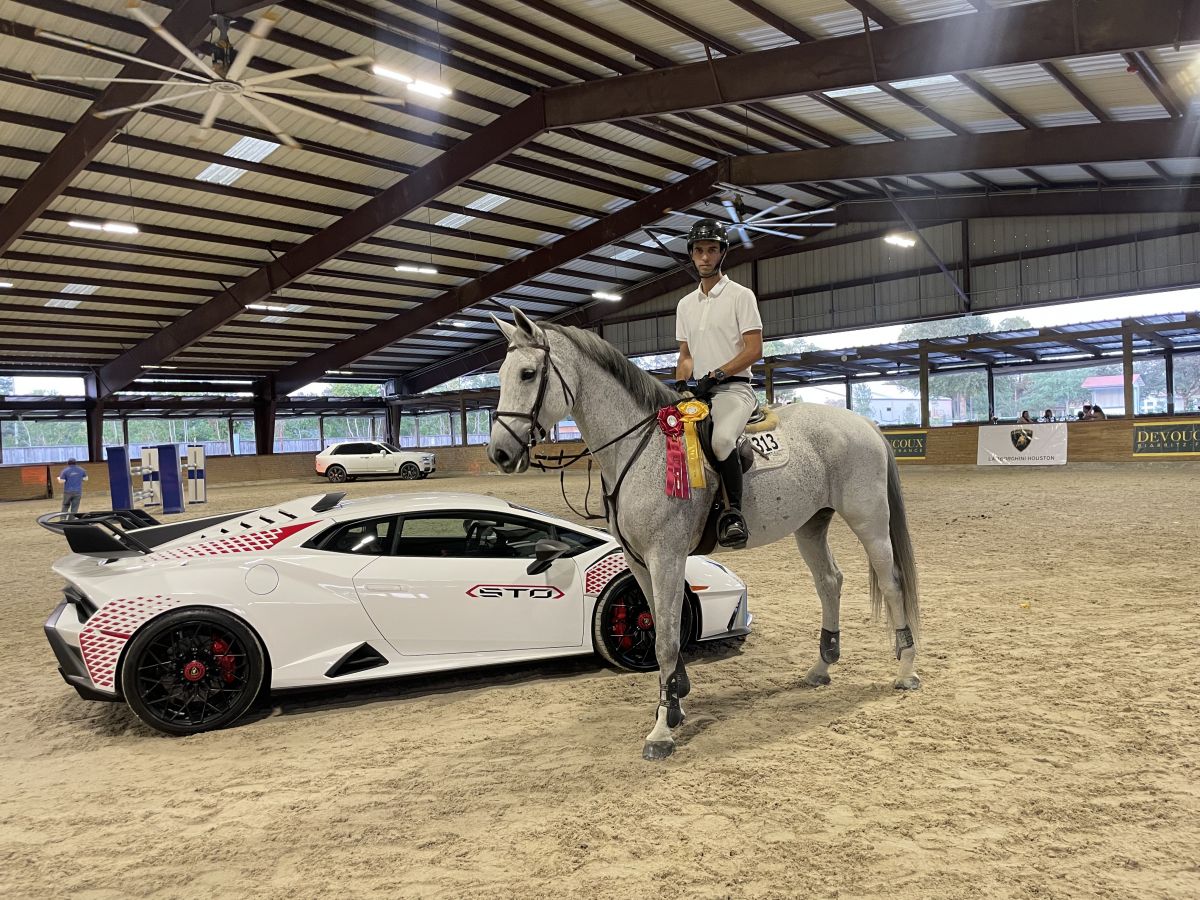 Visit Royal Sport Horses