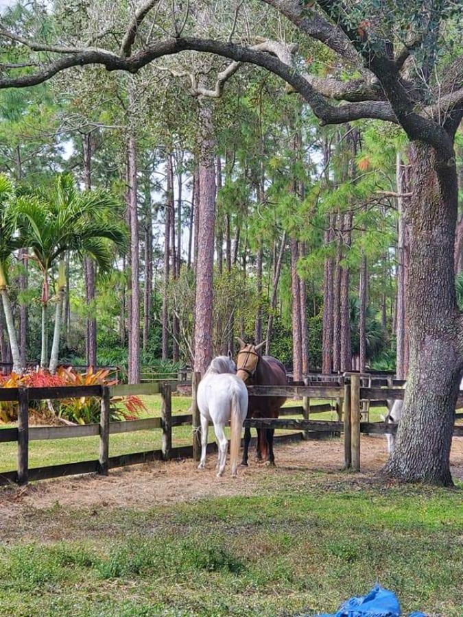 Visit Equi-Fit Wellness & Rehabilitation Retirement