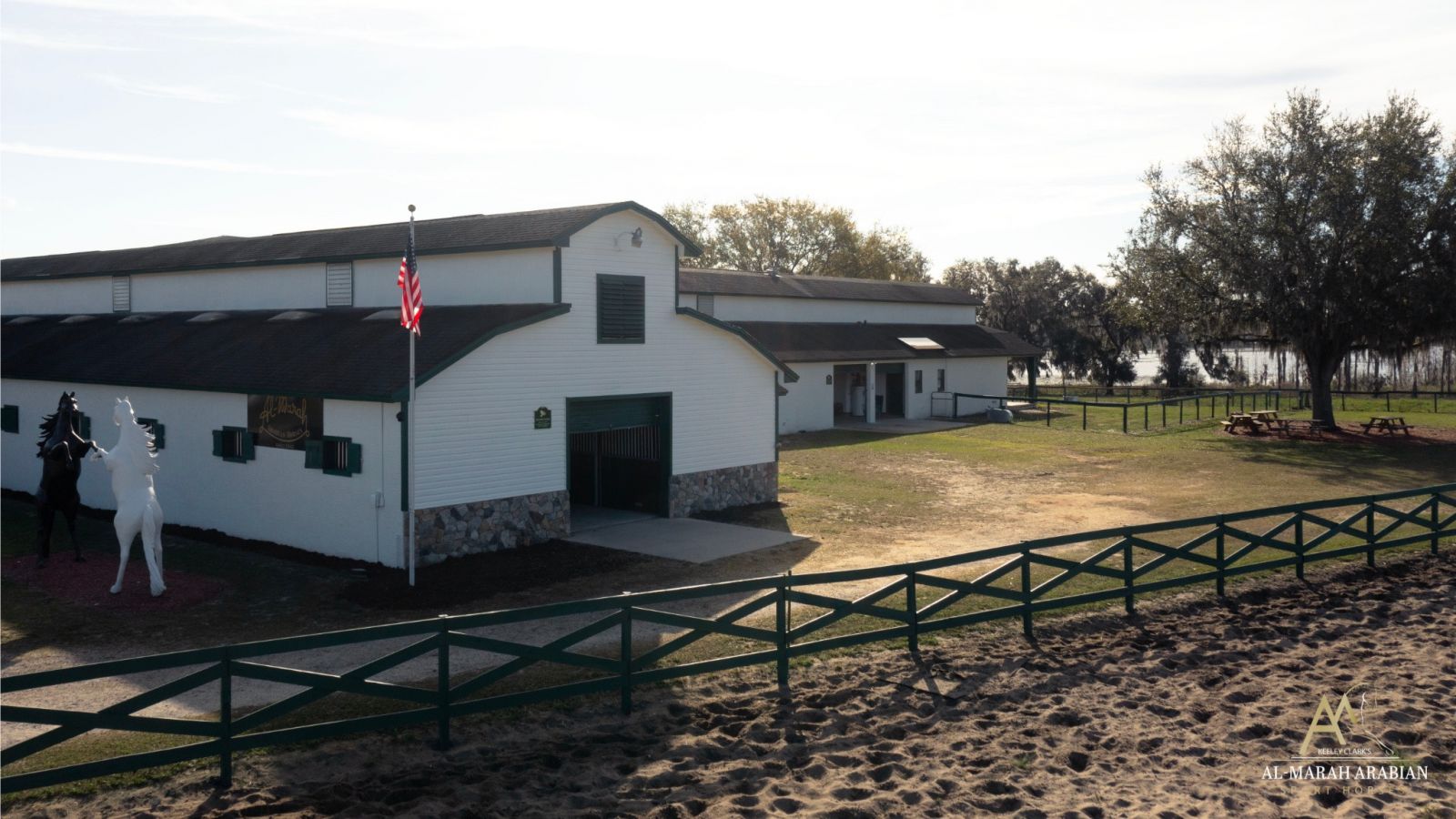 Visit Keeley Clark's Al-Marah Arabian Sport Horses