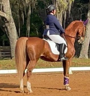 Visit Malibu Run Riding