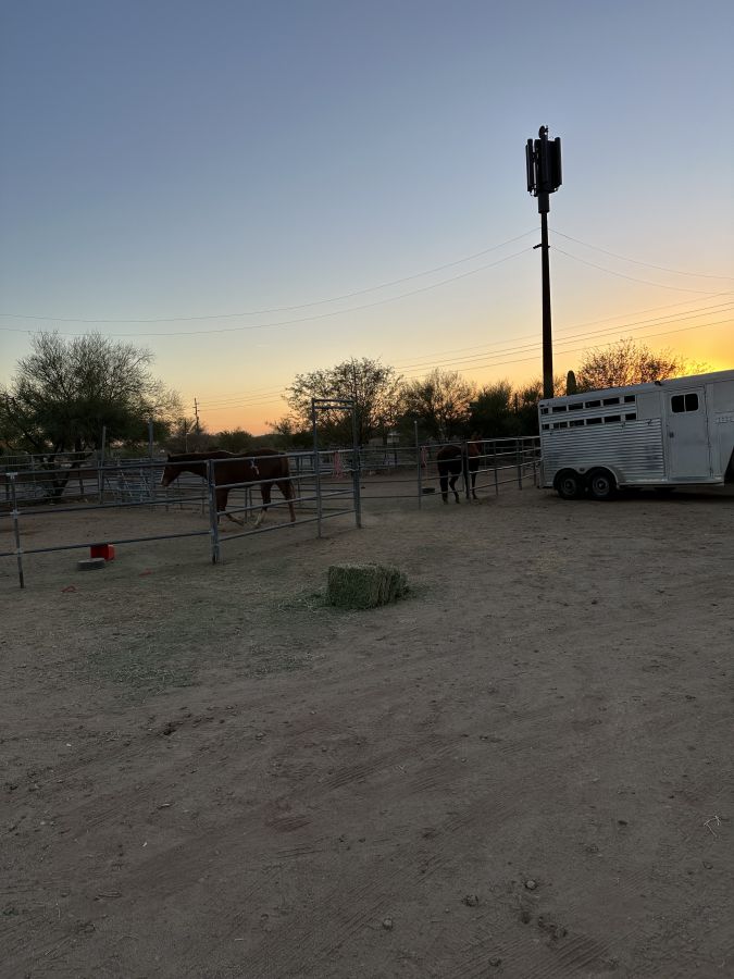 Visit J-D Ranch