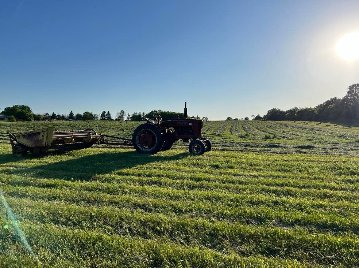 Visit Rebel Ranch