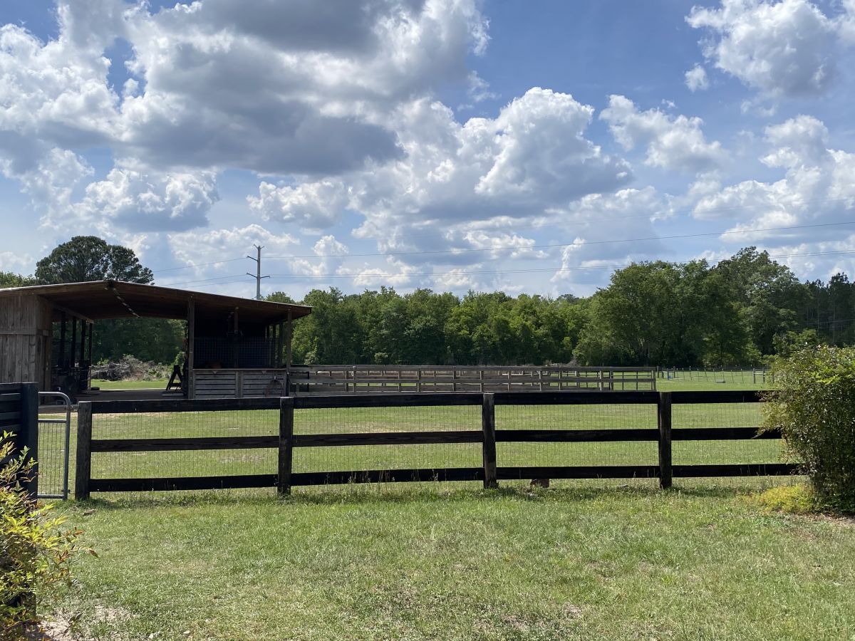 Private Boarding. Horse Boarding Farm in Jacksonville, Florida