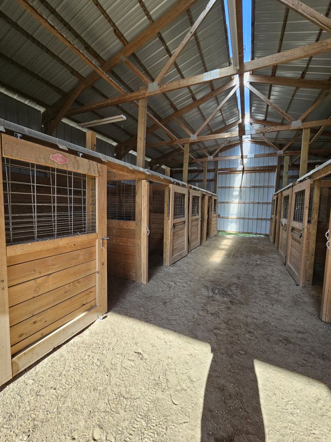 Visit One Shot Performance Horses LLC