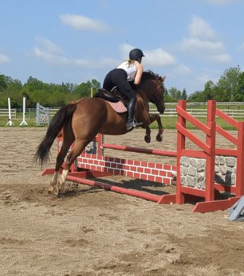 Visit Sommers Lane Equestrian Center