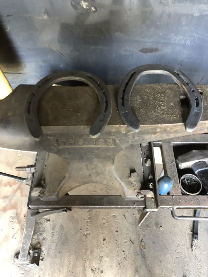 Visit Double D’s Horseshoeing