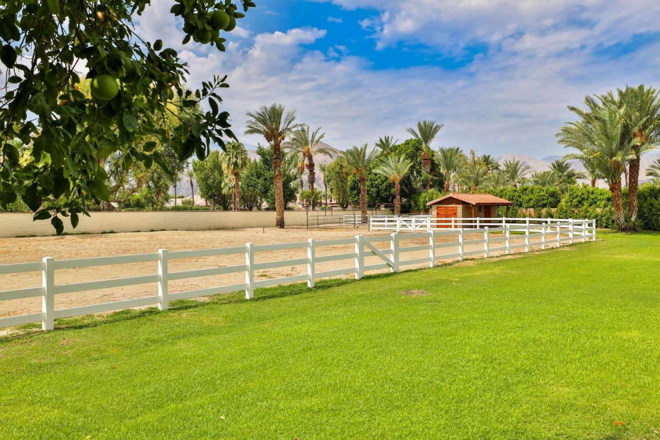 Visit Horse Boarding La Quinta