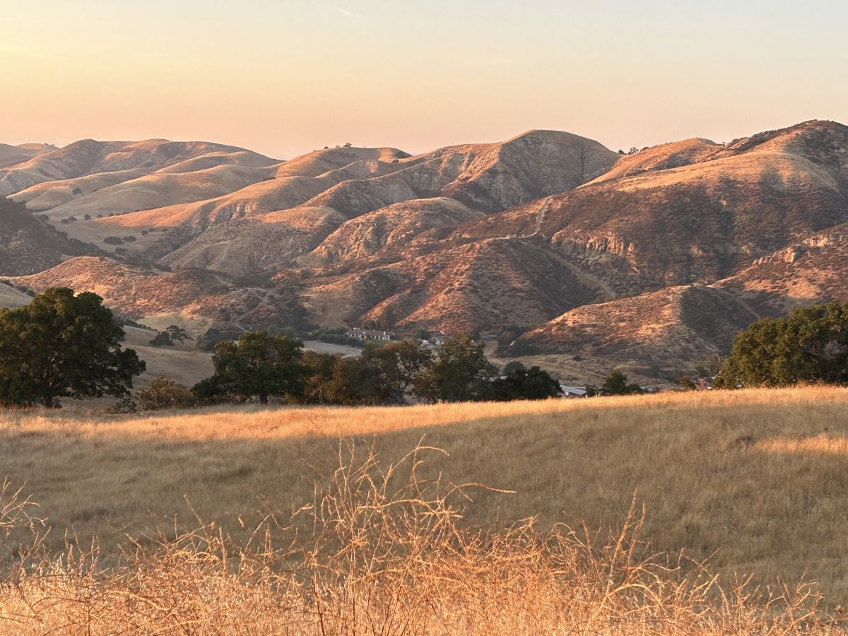 Visit Blue Canyon Ranch .Com