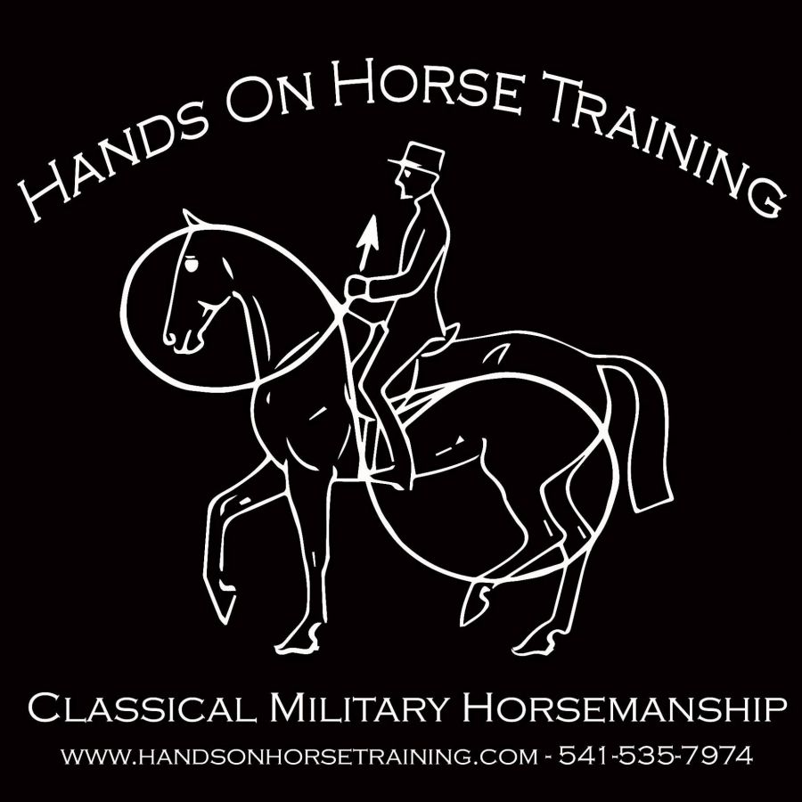 Visit Hands On Horse Training