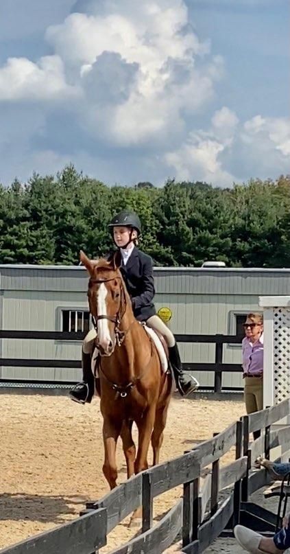 Visit HPR Show Stables -Holly Parks Robinson