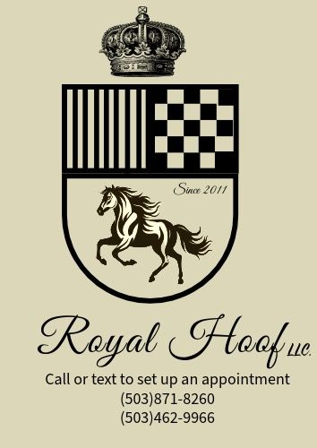 Visit Royal Hoof Farrier service -Sergio Ortiz