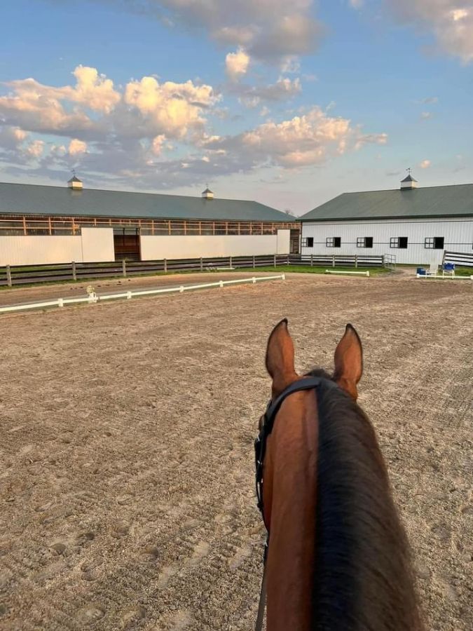 Visit Magnolia Creek Stables